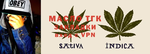 шишки Арсеньев
