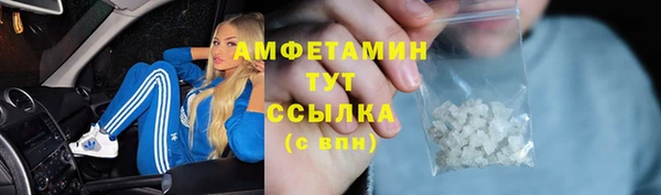 шишки Арсеньев