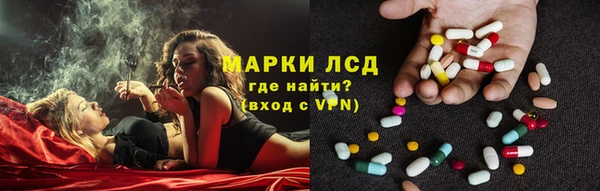 ешки Аркадак