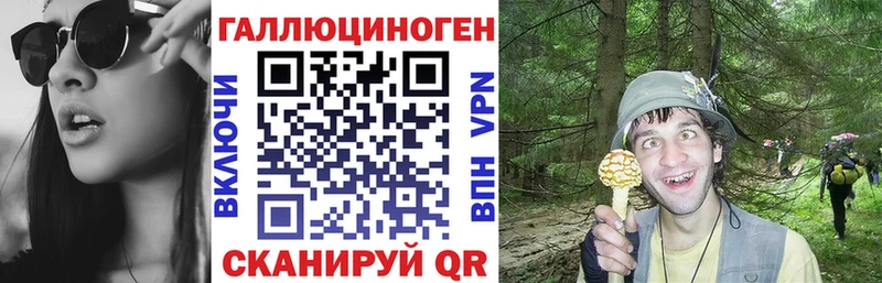 наркота  Ростов  Псилоцибиновые грибы MAGIC MUSHROOMS 